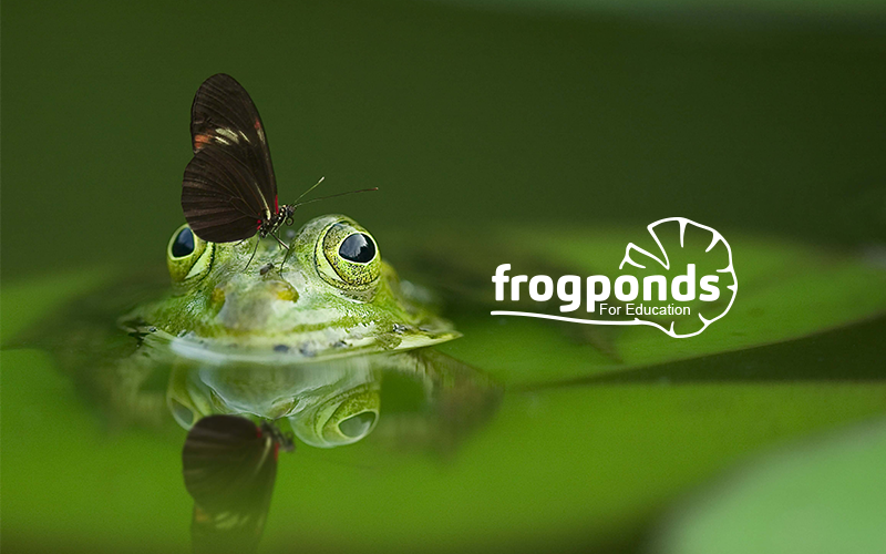 Frogponds